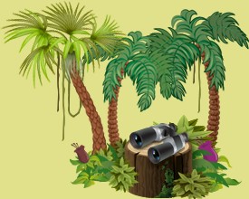 Take care of the jungle animals belonging to other players in your tropical reserve and help them grow and progress every day.
